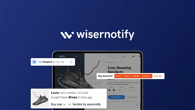 WiserNotify review 2